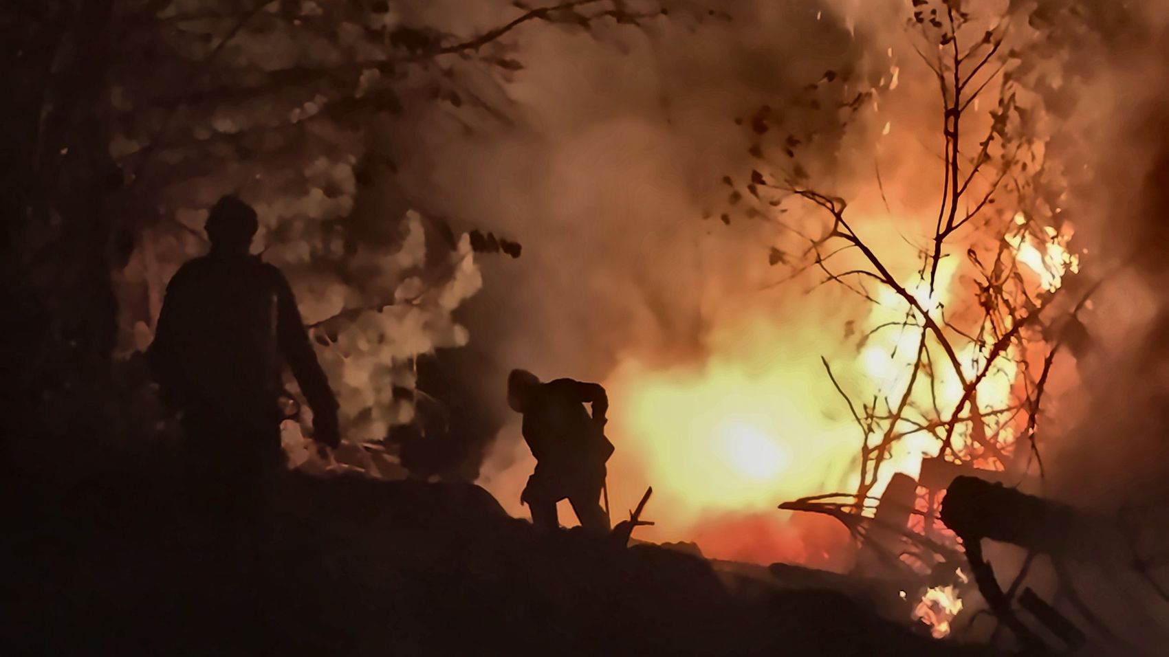 Firefighters working a night burn in a plantation